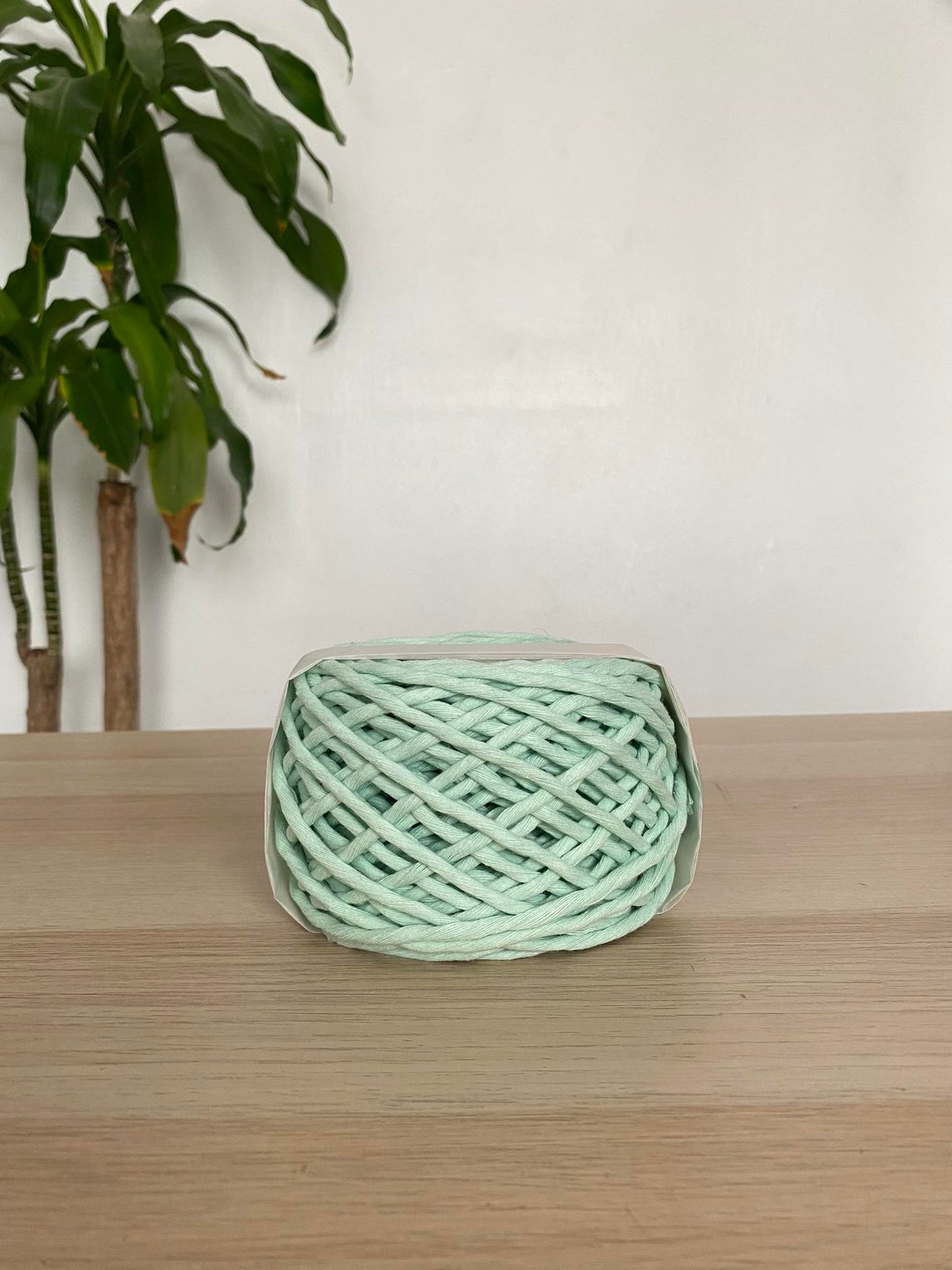 Menta 4mm (200pies)