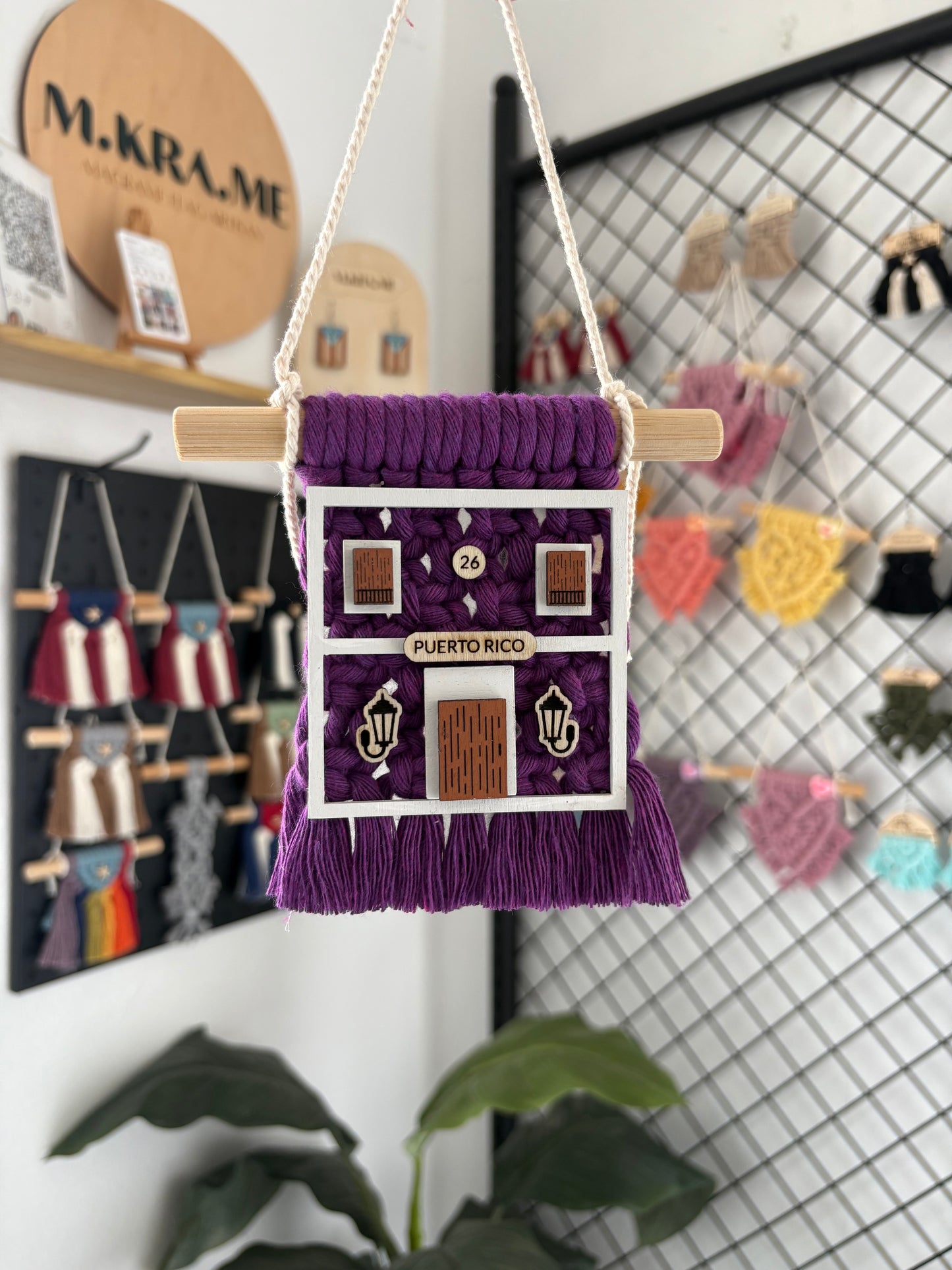 Casita Violeta