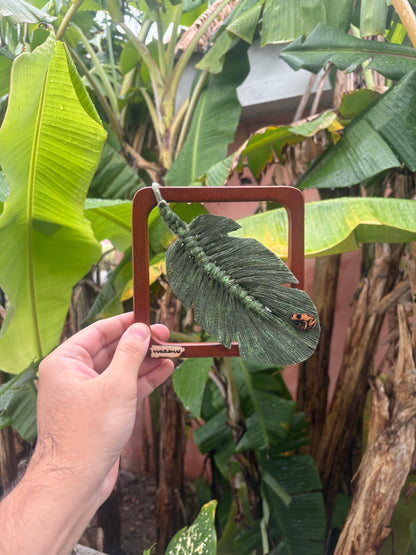 Mini hoja de plátano- Marco cuadrado