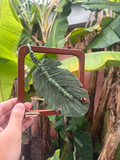 Mini hoja de plátano- Marco cuadrado