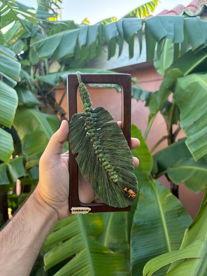 Mini hoja de plátano.